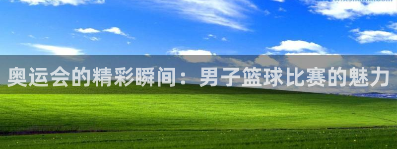 奥运会的精彩瞬间：男子篮球比赛的魅力