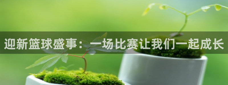 迎新篮球盛事：一场比赛让我们一起成长