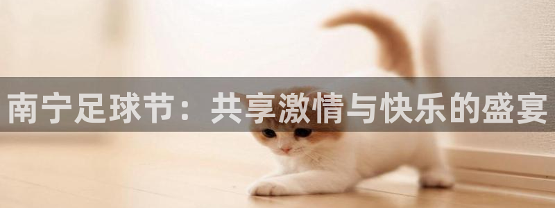 南宁足球节：共享激情与快乐的盛宴