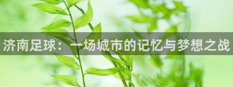 济南足球：一场城市的记忆与梦想之战