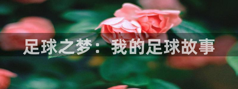 九游体育app：足球之梦：我的足球故事