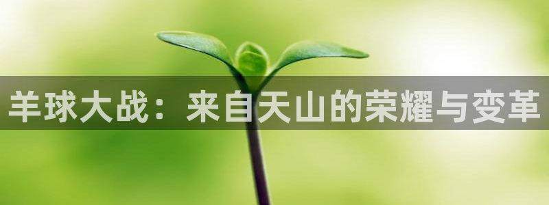 九游体育入口：羊球大战：来自天山的荣耀与变革