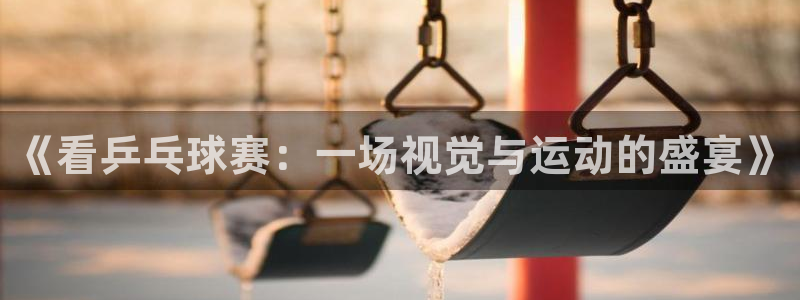 九游体育下载：《看乒乓球赛：一场视觉与运动的盛宴》