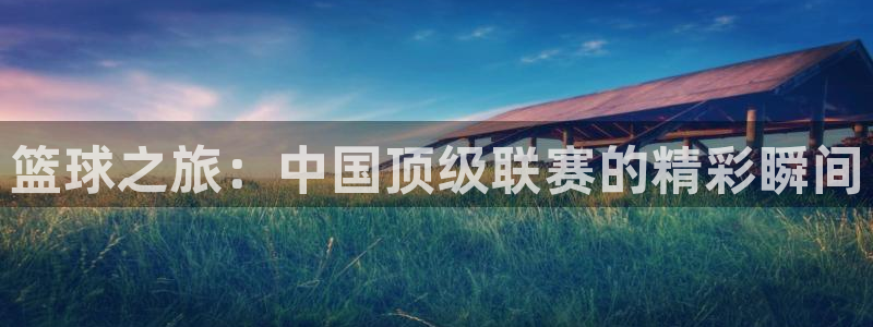 九游体育游戏：篮球之旅：中国顶级联赛的精彩瞬间