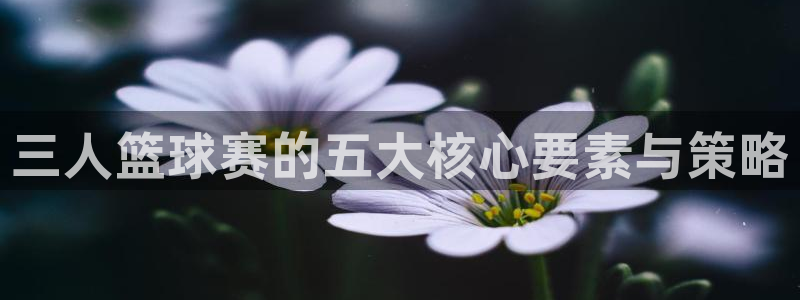 九游体育下载：三人篮球赛的五大核心要素与策略