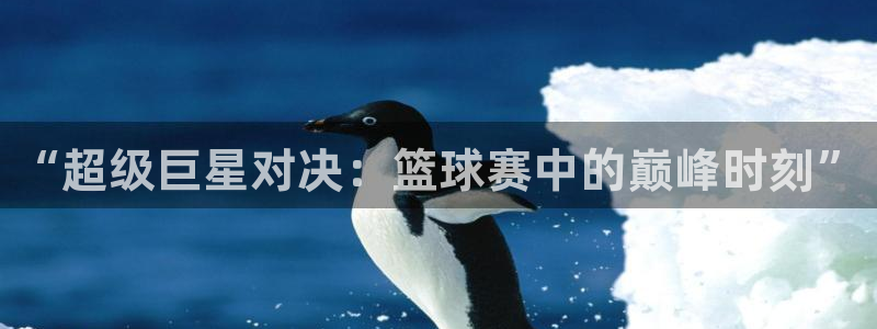 九游体育游戏：“超级巨星对决：篮球赛中的巅峰时刻”