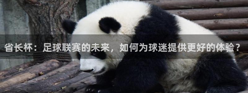 九游体育娱乐：省长杯：足球联赛的未来，如何为球迷提供更好的体
